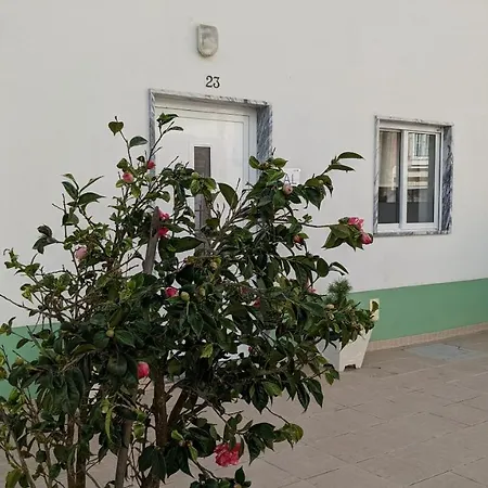 Сasa de vacaciones Casa Domingues *